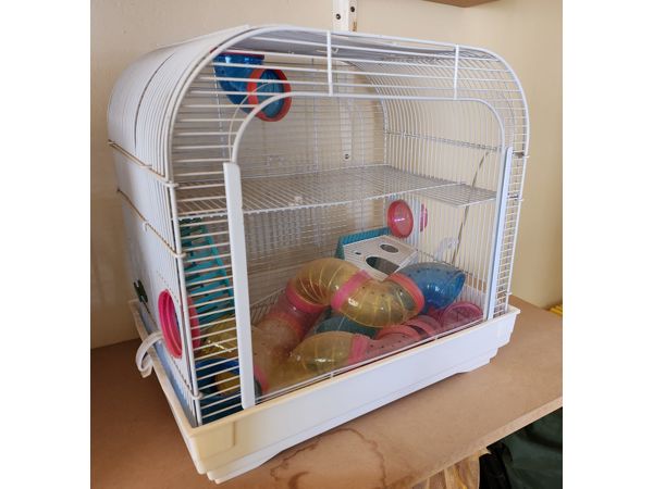 ~/upload/Lots/116244/AdditionalPhotos/xewwnd7nzssmw/hamster cage (1)_t600x450.jpg